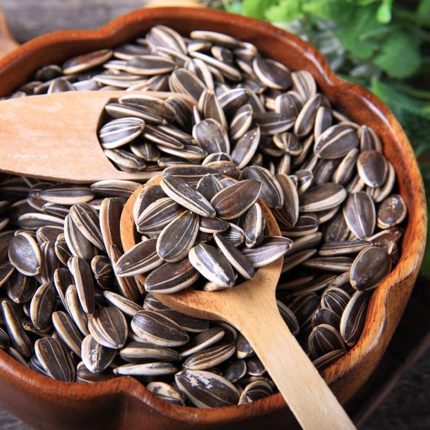 Semillas de girasol: nutrición y versatilidad para humanos y animales